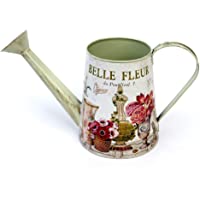 Ambiente Haus Regadera decorativa de metal 74511 Fleur - Regadera de metal- diseño retro vintage